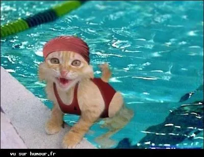 Encore un cadeau : Romy et Alain sont au centre de ce drame !