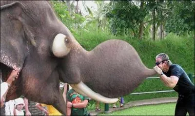 Comdie sur une bande d'amis qui achtent une maison le dimanche  Orly en priode de grve des aiguilleurs :