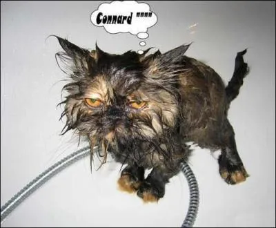 De Jean-Pierre Mocky avec Bourvil et francis Blanche :