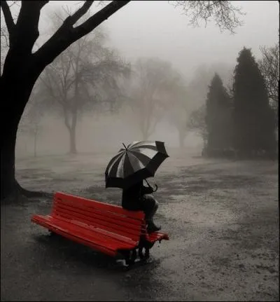  Toute la pluie tombe sur moi  chanson de Sacha Distel est une adaptation de  Raindrops keep falling on my head , oscar de la meilleur musique de quel film ?