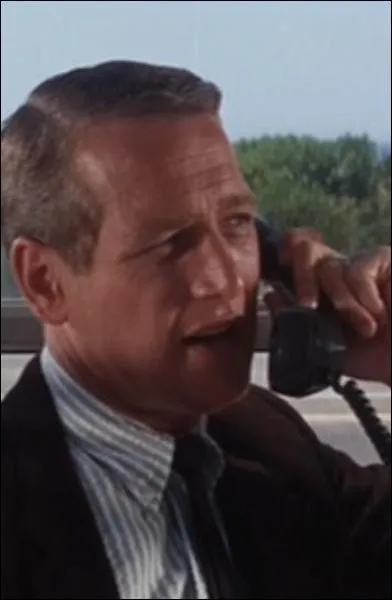 Dans ce film de 1966, Paul Newman joue le rle de Lew Harper. C'est un :