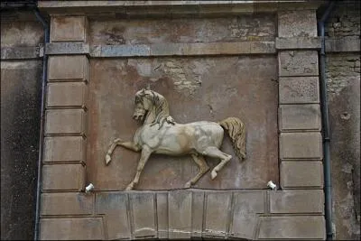 Quelle tait, pour l´homme, l'utilit de ce chien fort et moustachu ds son apparition aux XVe et XVIe sicles ?