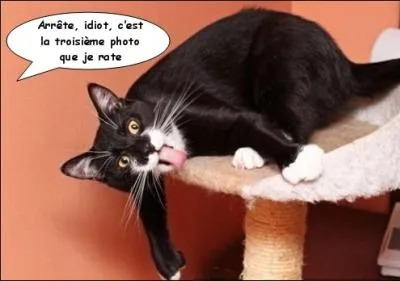 Et moi, je me suis bien distraite parce que j'ai fait : ... et ...