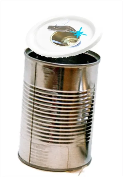 Qui n'a jamais trouv une bote de conserve dans la nature, vestige d'un pique-nique campagnard ? Il faut beaucoup de temps pour qu'elle se dcompose entirement :