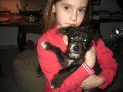 Ce chien est avec...