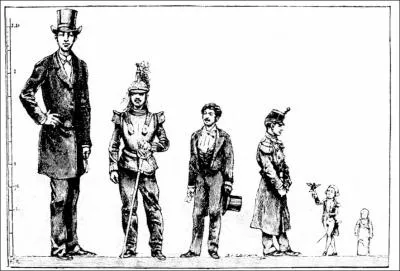 Nom fminin indiquant la hauteur de la taille d'une personne :