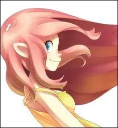 Qui est l'ennemi de Maliki ?