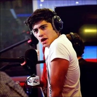 Quelles sont les deux grandes phobies de Zayn ?