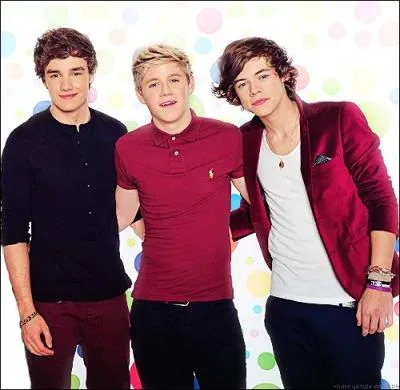 Quel est le seul membre du groupe  ne pas avoir de sur ?