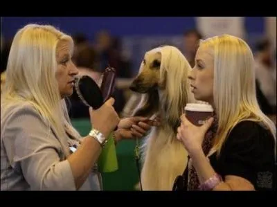 Marie-Anne Chazel, Clmentine Clari dans cette comdie sur le monde de la tlvision :