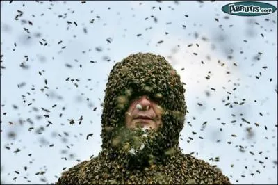 Premier rle au cinma de Cameron Diaz dans ce film avec Jim Carrey :