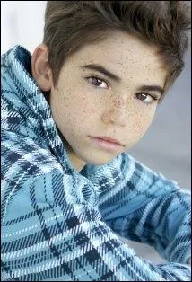 Qui joue le rle de Luke ?