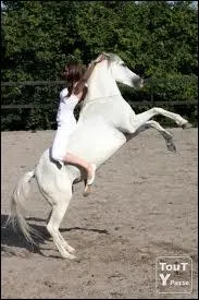 Quel(s) matriel(s)  de base  faut-il pour faire de l'thologie ? (au sol)