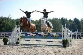 Quel clbre haras fait de l'thologie ?