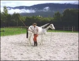 Pour commencer on fait 7 jeux, mais comment s'appellent-ils ?