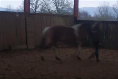 Quelles sont les 2 choses qui se fondent entre le cavalier et le cheval ?