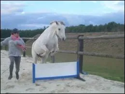 A quoi peut servir l'thologie ?