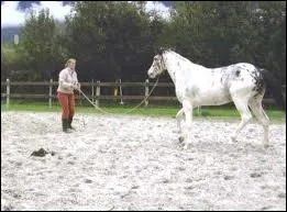 Cochez des faons de faire reculer son cheval :