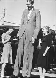 Quelle tait la taille de Robert Wadlow ?