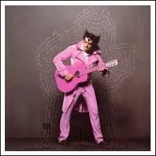 Quel pseudonyme utilise Matthieu Chedid ?