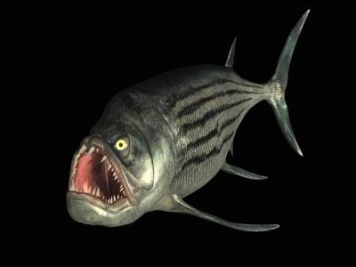Voici un anctre du piranha, son nom :