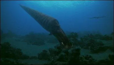 Le plus vieux monstre marin  l'poque de l'ordovicien, 450 millions d'annes avant notre re :
