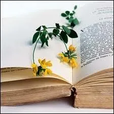 Qui a crit  Le noeud de vipres ?