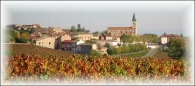 Avant de terminer notre repas, nous allons boire un verre de Julinas qui est un vin :