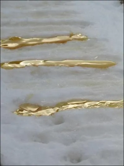 Vous verrez aussi cela mais qu'est-ce que c'est ?