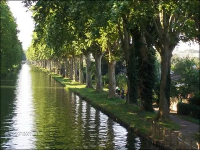 Quelle ville alsacienne, traverse par l'Ill et le canal du Rhne au Rhin, se situe dans la banlieue immdiate de Strasbourg ?