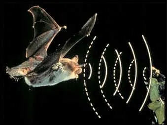 Comment appelle-t-on un son d'une frquence leve non perue par l'homme ?