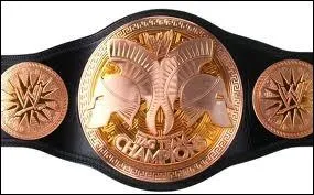 Quelle est cette ceinture ?