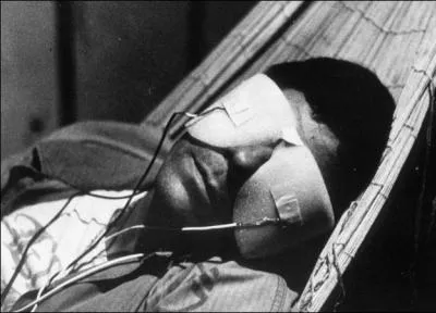 Cobaye, mmoire, troisime guerre mondiale, aroport, je suis quel film ?