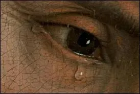 Quel grand auteur classique franais voulait pleurer les hommes  leur naissance et non  leur mort ?