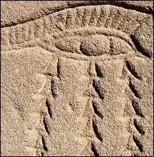 Tir d'un roman passionnant de Ken Follet , il y a un film dont Donald Sutherland est le hros, qui voque l'espionnage durant la seconde guerre mondiale. Le titre en est ?