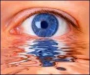 Les larmes sont produites par les glandes lacrymales soit pour protger l'oeil soit lors d'une motion. Selon l'un ou l'autre cas, la composition des larmes est diffrente...