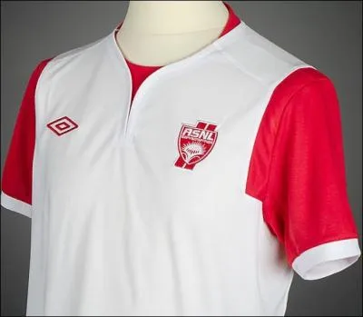 C'est le maillot de l'quipe de ... .