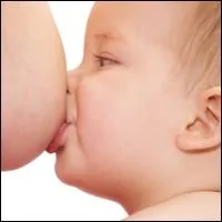 Bien que class mammifre, cet animal ne donne pas la tte  ses petits car il n'a pas de mamelon, il leur fait lcher sa fourrure sur laquelle suinte le lait :