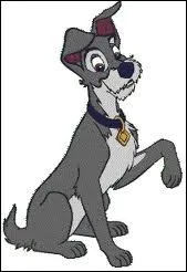 A qui Clochard fait-il appel pour dlivrer Lady de sa muselire ?