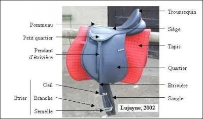 On doit nettoyer le harnachement de sa monture (la photo n'a rien  voir avec la rponse) :
