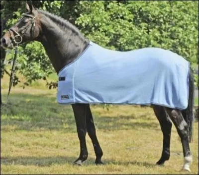 Que dois-je mettre l'hiver  mon cheval quand il est tondu ?