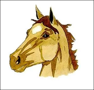 Regardez cette image, comment se nomme cette en-tte ?