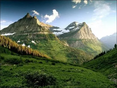 Le groupe de chats habitant dans les montagnes s'appelle le Clan du Ciel.