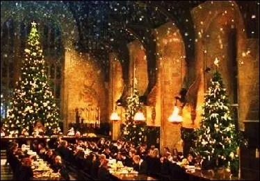 Par qui Harry en avait-il entendu parler, lors d'un dner en priode de ftes, sans savoir ce que c'tait ?