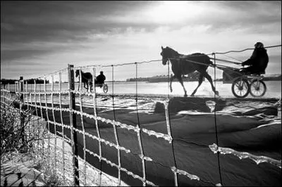 Le 12 janvier, qu'est-ce que les services de police de Montral se voient confrer ?