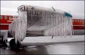 Les arbres furent endommags et selon vous, combien d'hectares de fort furent touchs ?