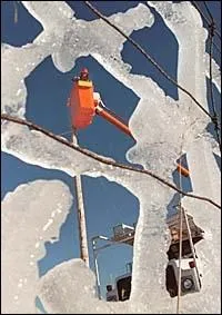 Combien de personnes sont mortes au Canada seulement ?