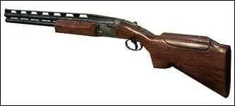 Quel est le nom de cette arme ?