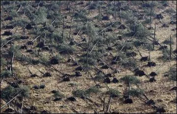 Climat : dans la nuit du 25 au 26 dcembre des vents soufflant  plus de 170 km/h balayent la France de la Bretagne  l'Alsace. De gros dgts et 90 morts . Triste fin d'anne. C'tait en :