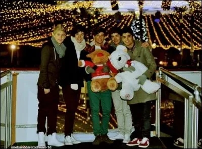 Combien sont-ils dans le groupe ?